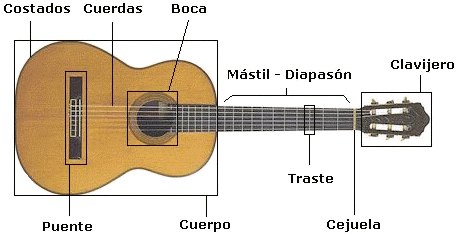 Estructura de la Guitarra